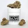 702 Headband