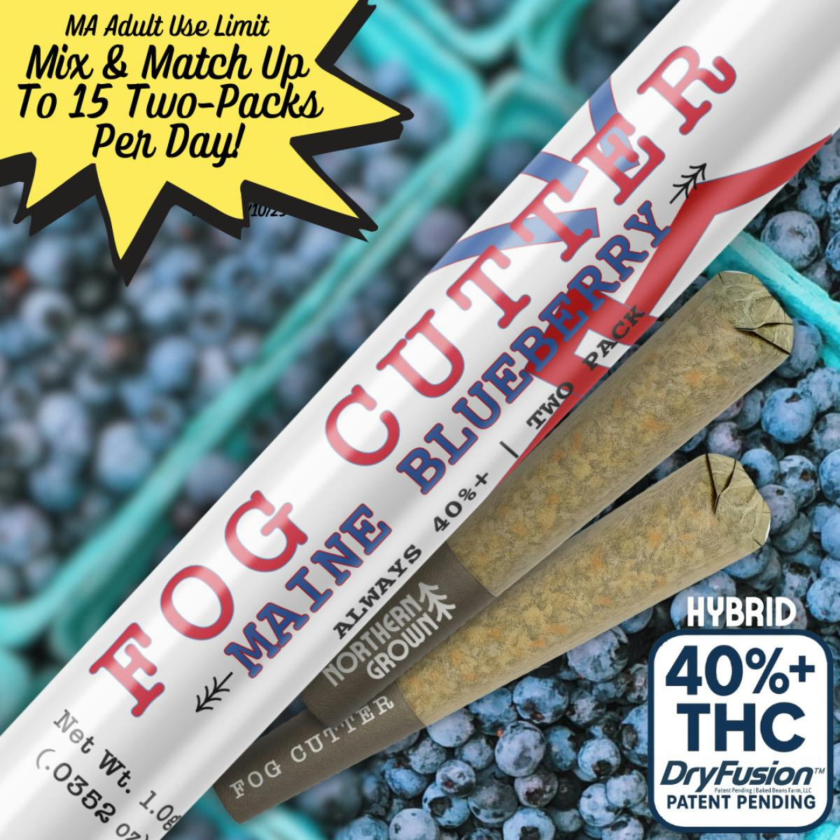 0.5g 2pk Fog Cutter Infused Prerolls - Mystic Mango #2 (I/H) at Hidden Wonders Dispensary