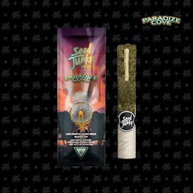Seed Junky - Paradize Cove 1.5g Infused Hash Hole (Indica)