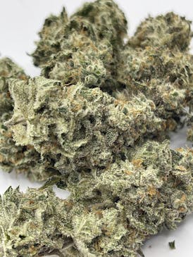 Alpha Grow - White Widow *DELI* (Hybrid Sativa)