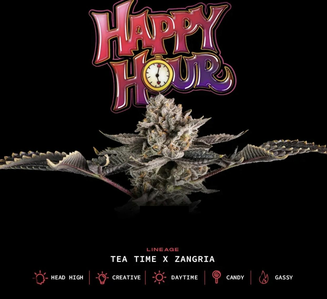 Hcc Happy Hour