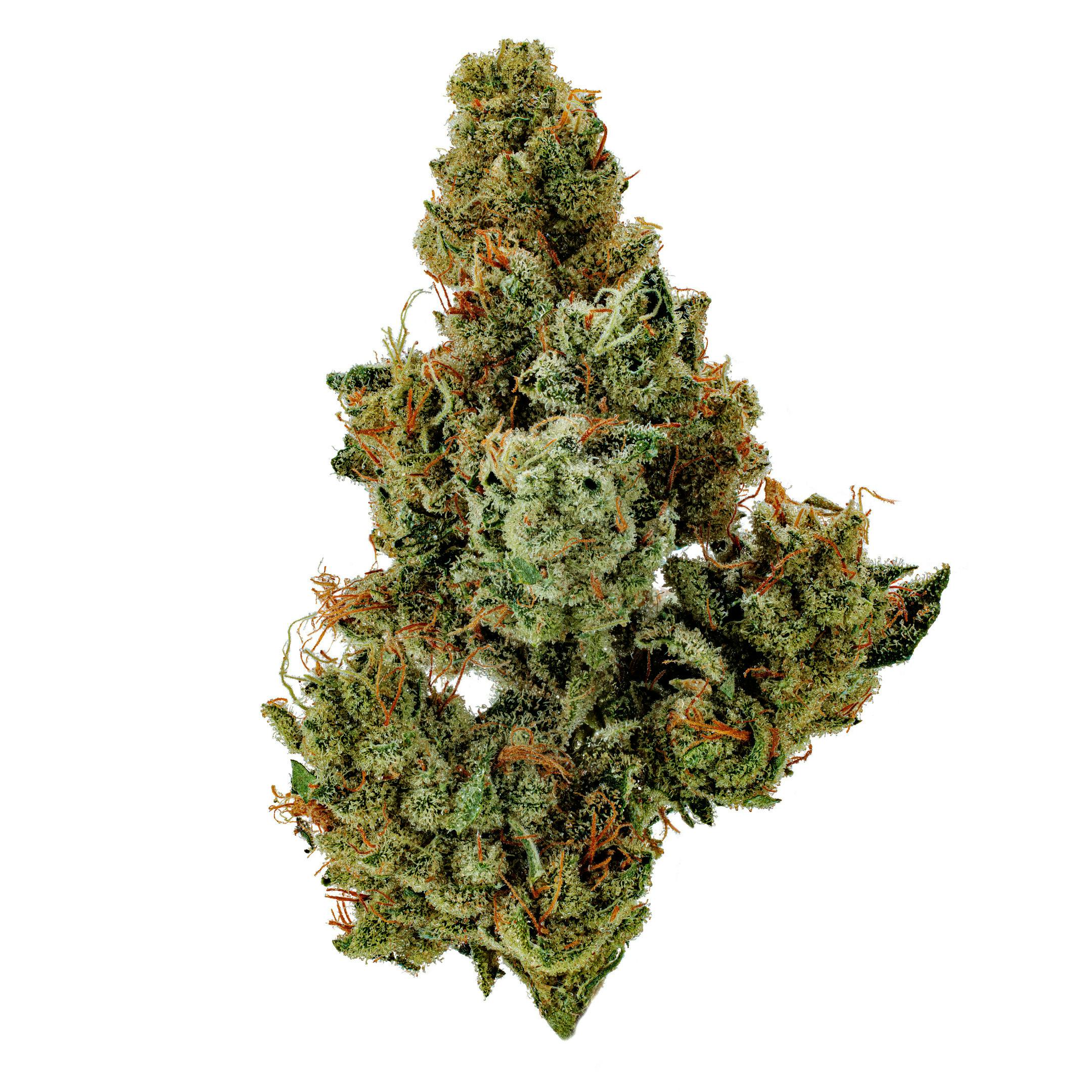 Glass Meadows | Copper Chem
