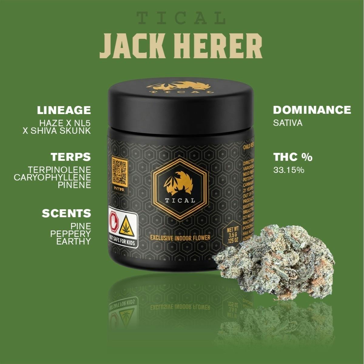 TICAL | Jack Herer