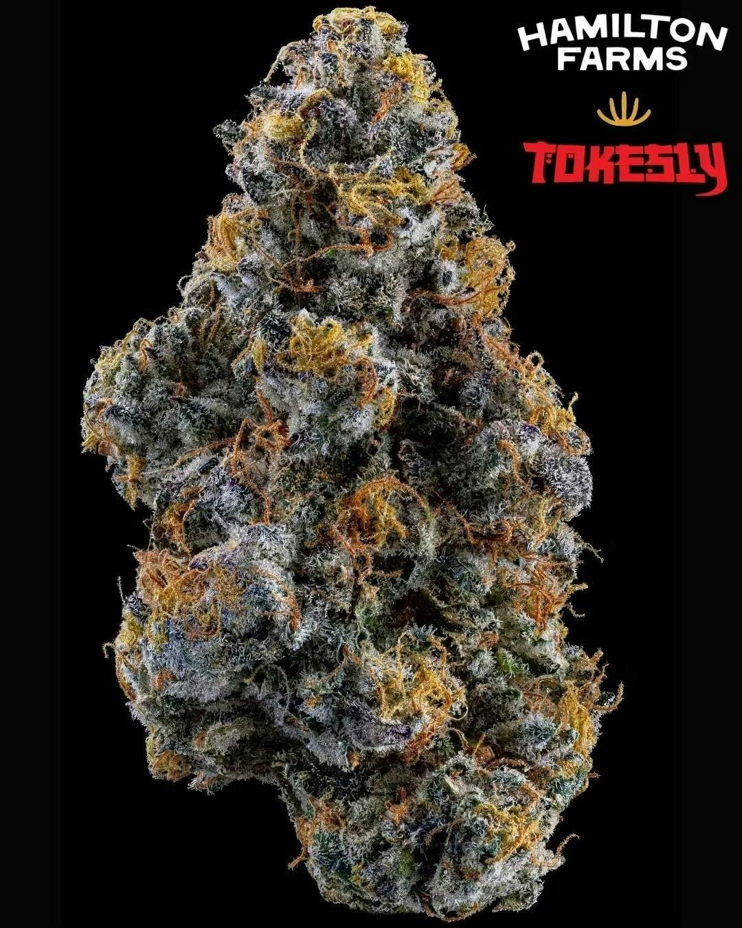 Tokesly | Kush Berry Burger | 2 x .5g Pre-Rolls