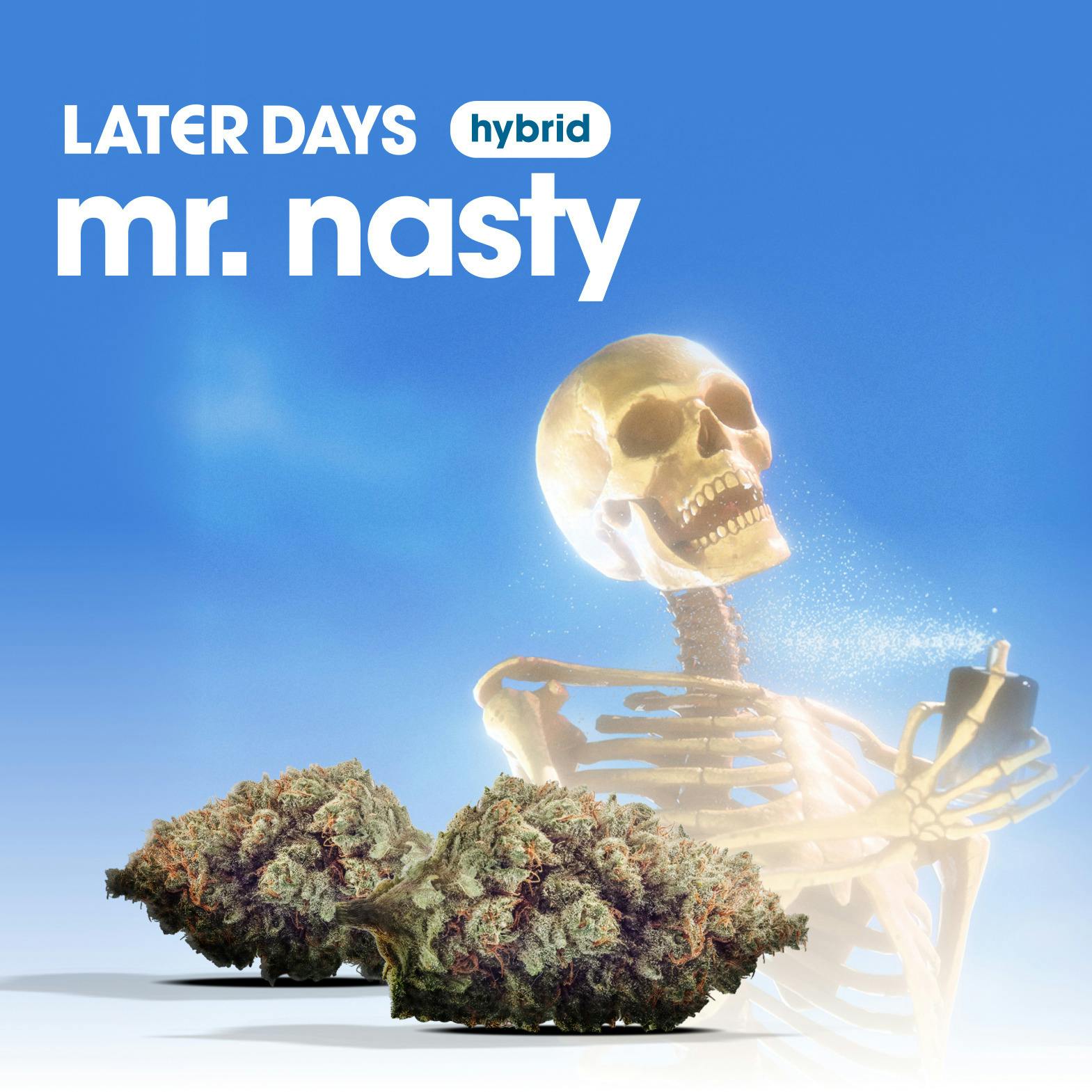 Mr. Nasty Flower