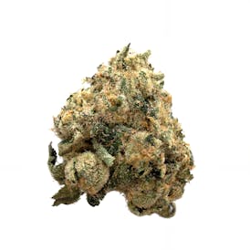 Rugged Roots | Invisible Ink | Flower | 3.5g.