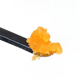 Seaweed Co. | Violet Vixen | Live Badder | 2.5g.