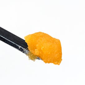 Seaweed Co. | Persian Pie | Live Badder | 2.5g.