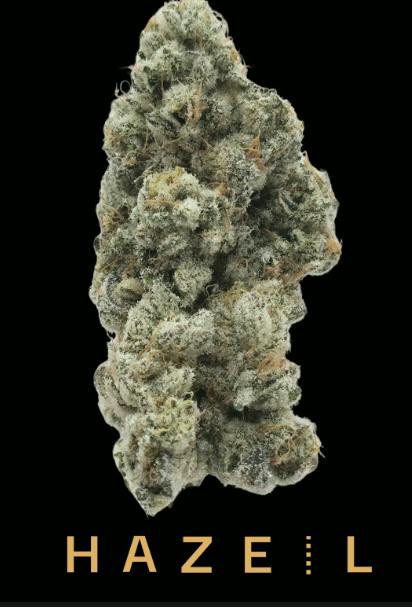 Jungle Pie | 3.5g cannabis product