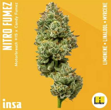Half Ounce | Nitro Fumez | 14g