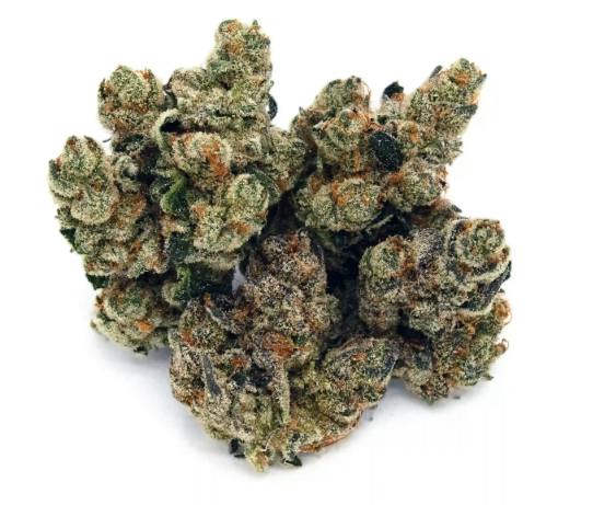Apricot Jam | 3.5g
