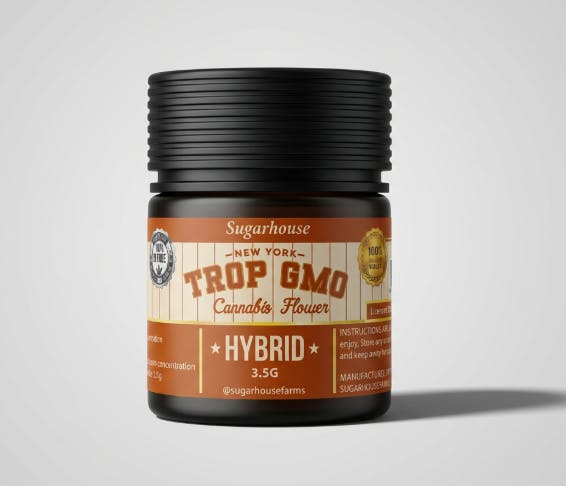 Trop GMO | 3.5g at High Rollers Cannabis