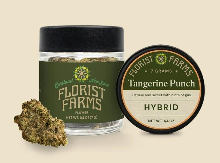 Tangerine Punch | 7g