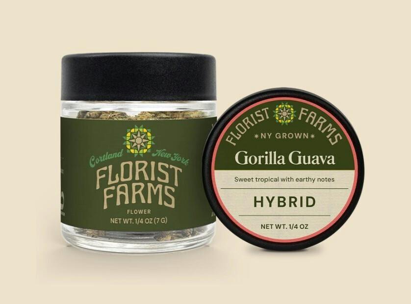 Gorilla Guava | 7g