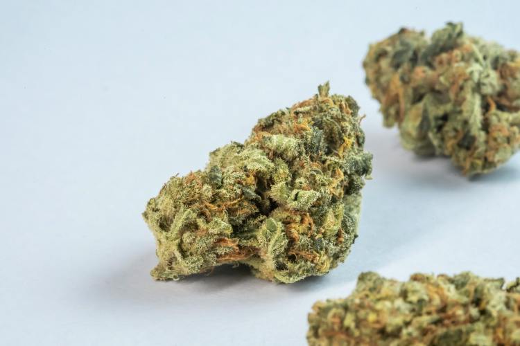 Green Farms - Locals Only- Middle Shelf
