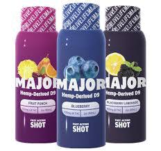 Major-Fruit Punch Shot-100mg (Rec Only)