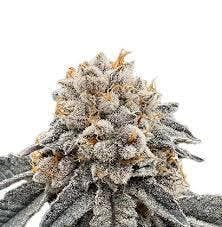 Victory Natural Farms Lemon Runtz
