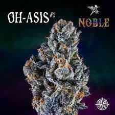 Noble Oh-asis Flower