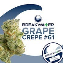 Breakwater Grape Crepe #61