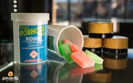 Robhots Plus 100mg Rosin Gummies