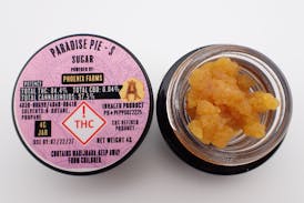 Paradise Pie Sugar - S 4G