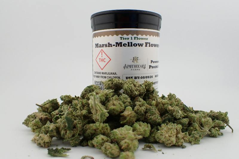 Marsh-Mellow Tier 1 Flower - I 7G