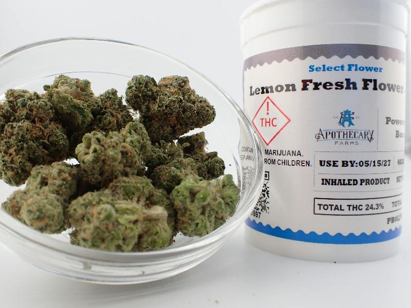 Lemon Fresh Select Flower - S 7G