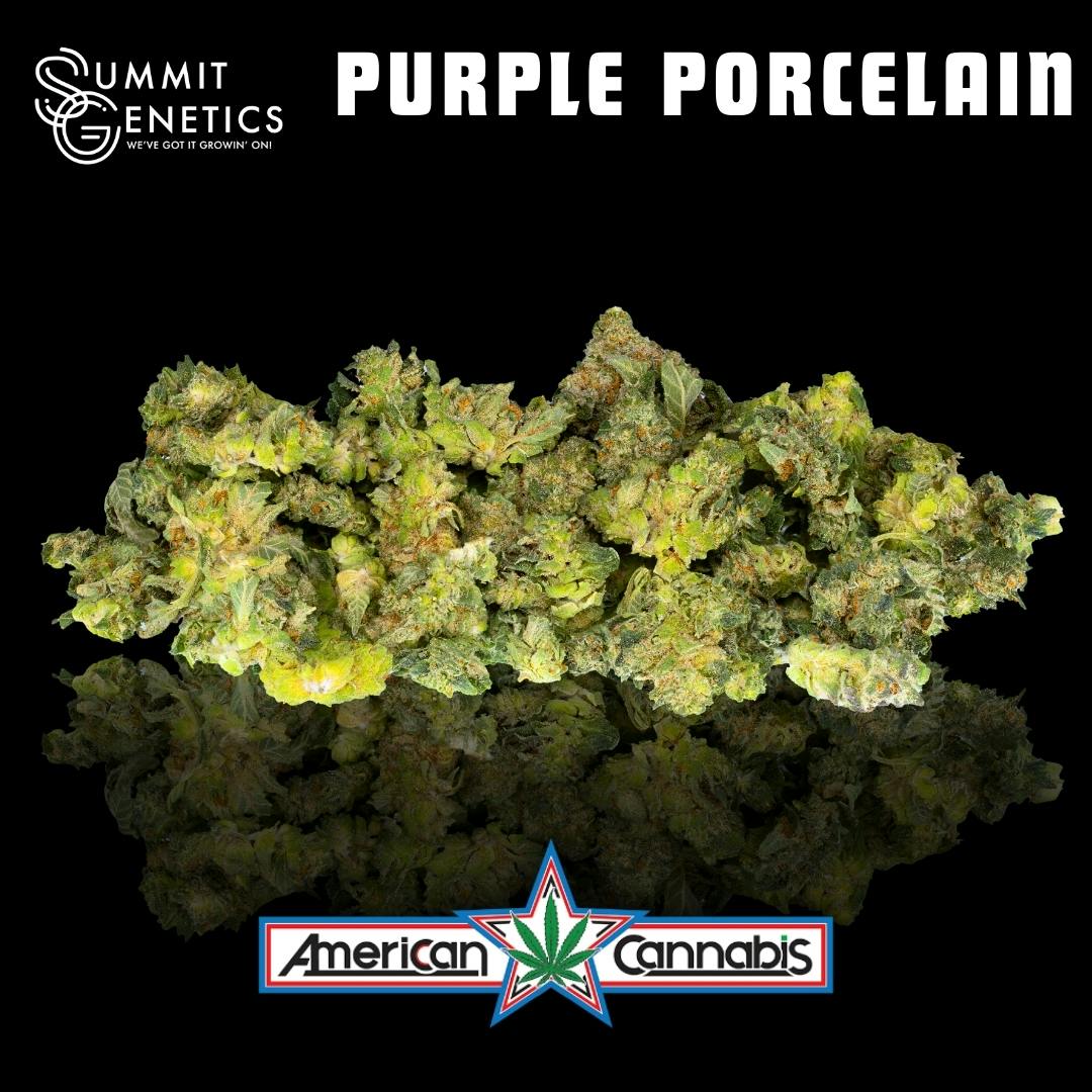 [Flower] Summit Genetics Purple Porcelain 14g [Hybrid]
