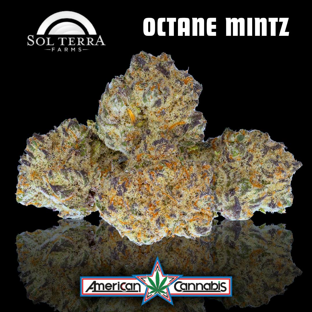 Terra Octane Mintz