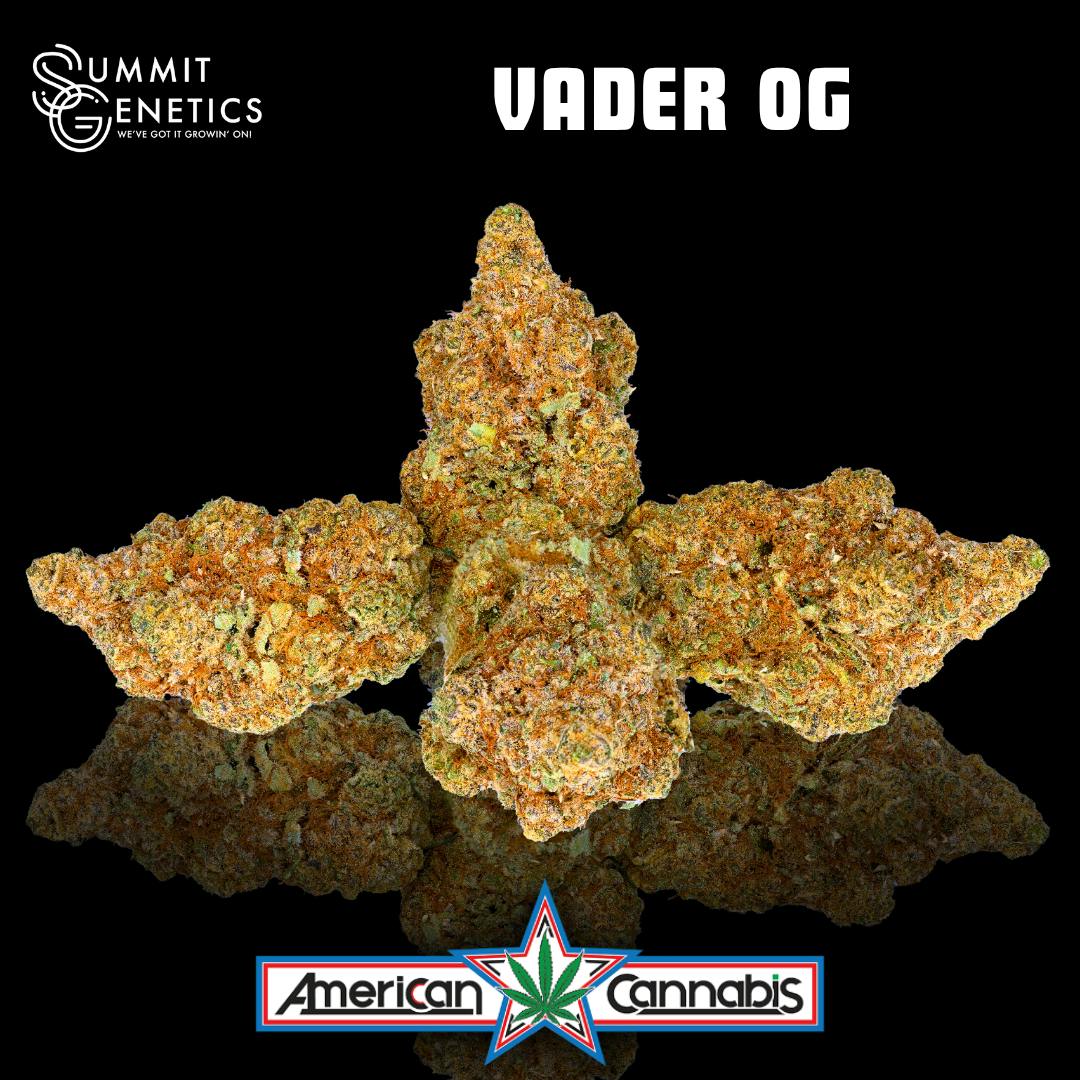 [Flower] Summit Genetics Vader OG 14g [Indica]