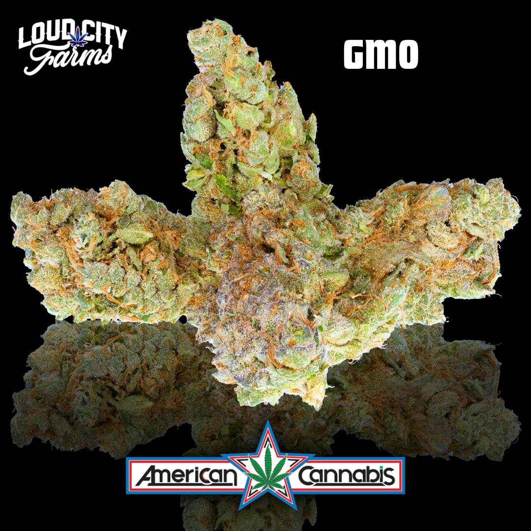 Loud City Extracts Gmo