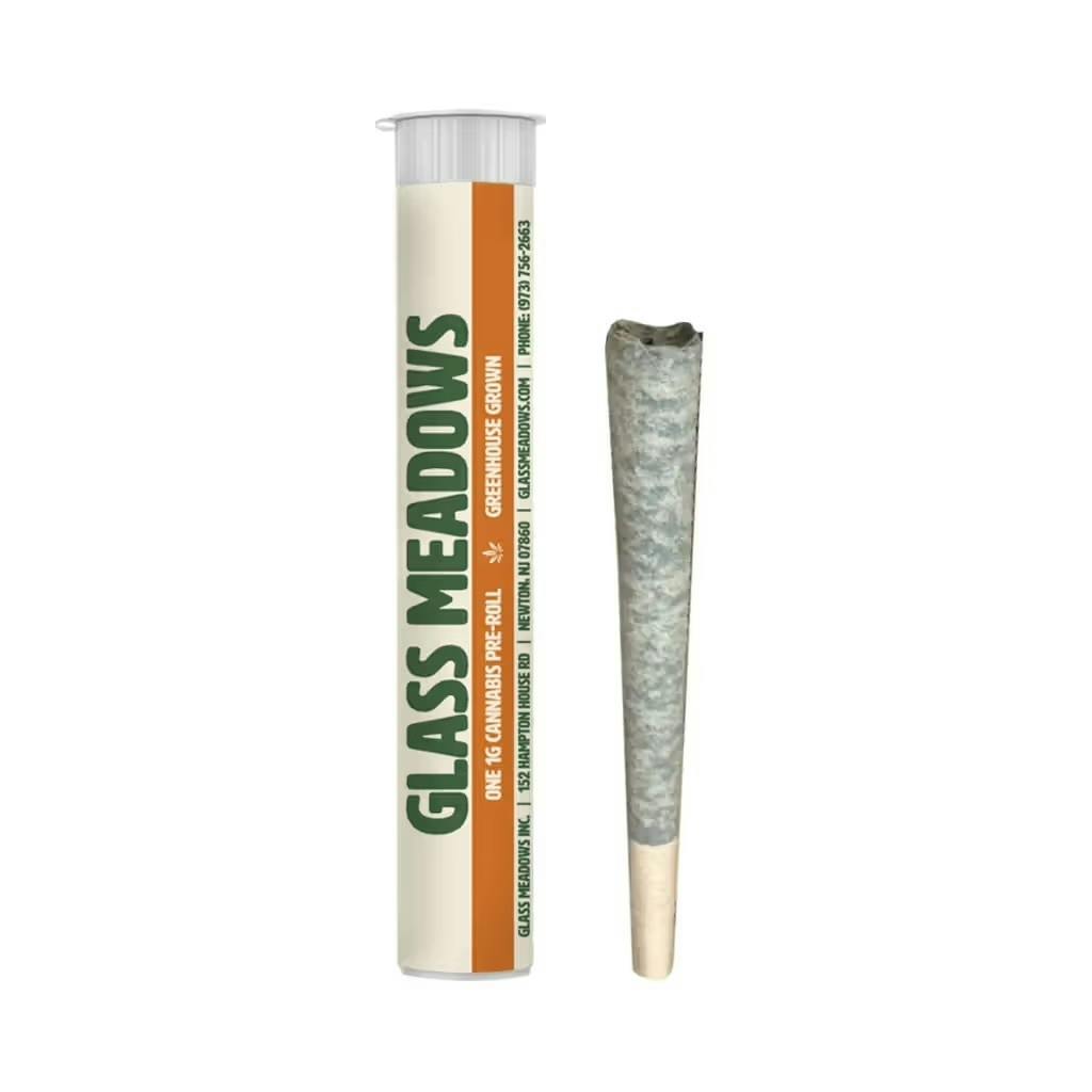 PREROLL | CHEM 17 | 1G - 1 g at Gas & Grass Cannabis Recreational Dispensary