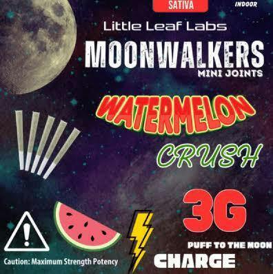 LITTLE LEAF | WATERMELON CRUSH INFUSED | 0.6G | 5PK - 3 g