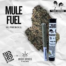 PREROLL | MULE FUEL | 1G - 1 g