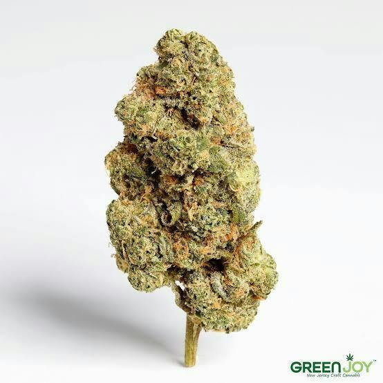 FLOWER | LEMON FRESH | 1G - 1 g at Gas & Grass Cannabis Recreational Dispensary