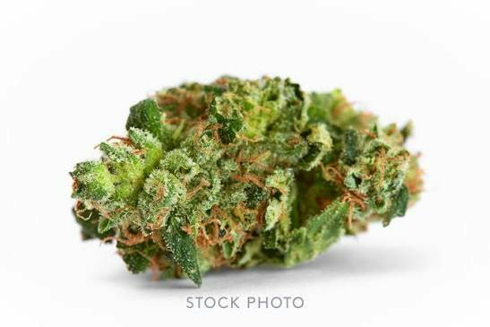 FLOWER | CHEDDAR CHEEZE | 1G - 1 g at Gas & Grass Cannabis Recreational Dispensary