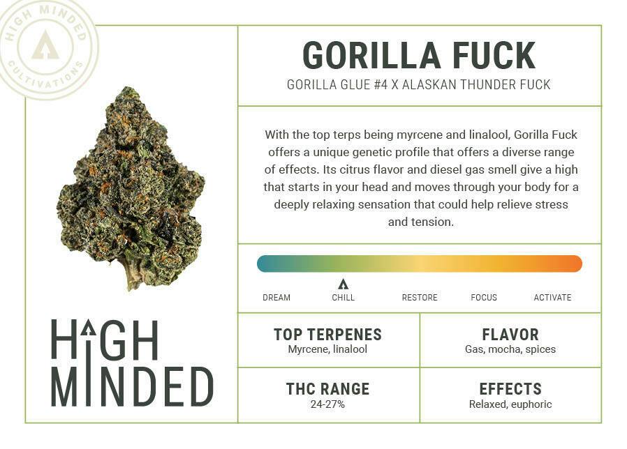 Shake - Gorilla Fuck