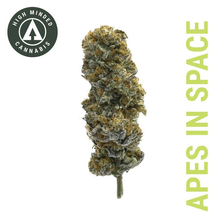 Apes in Space - Silver Tier at Timber Cannabis Co Big Rapids Dispensary