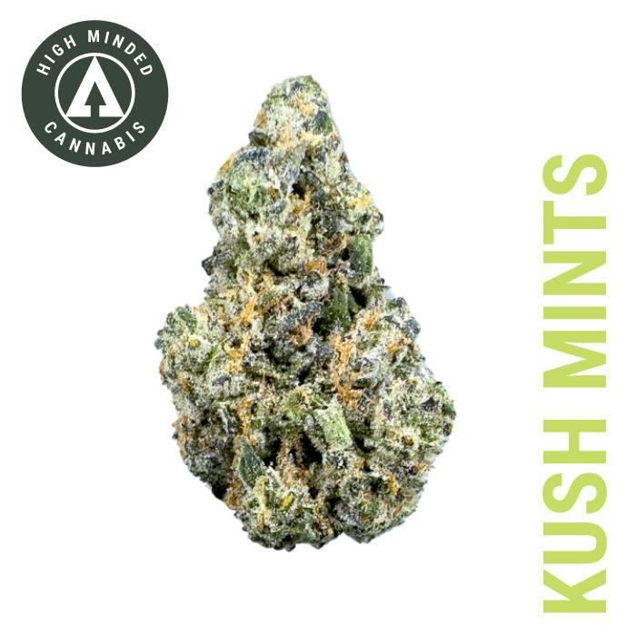 Kush Mints - Diamond Tier at Cloud Cannabis Gaylord Dispensary