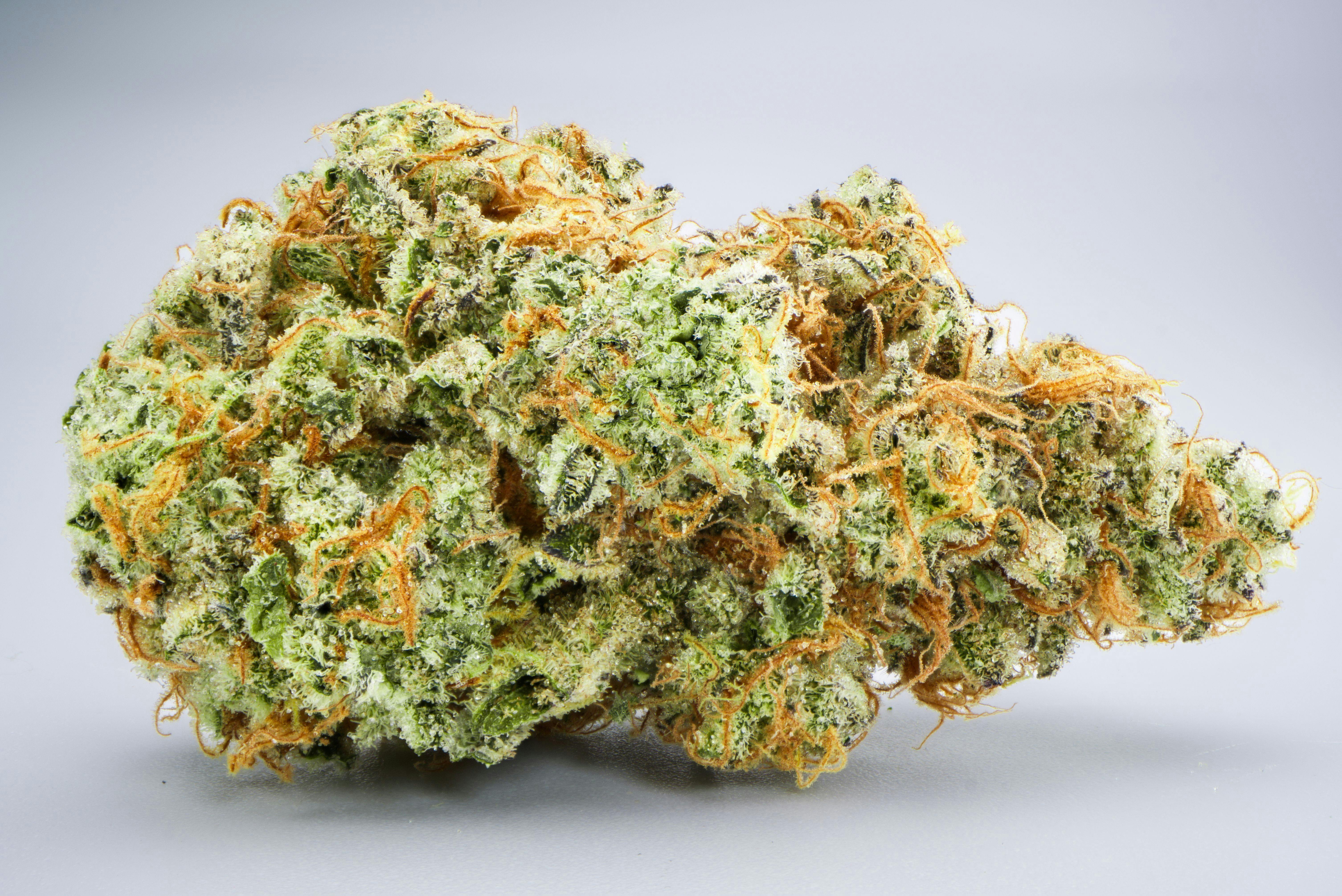 Cherry Tartz - Gold Tier cannabis product