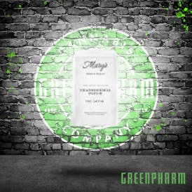 Mary's Medicinals Transdermal Patch Topical Sativa 100mg CBD : 100mg THC 10ct, 10mg, 100mg pk