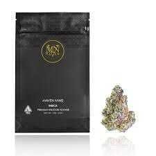 Maven Genetics - — Black Lotus