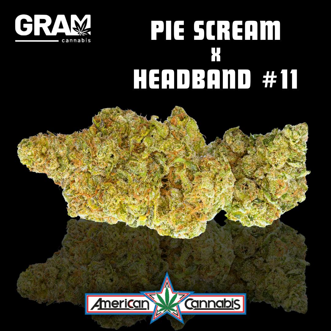 [Flower] GRAM Pie Scream x Headband #11 4g [Indica]