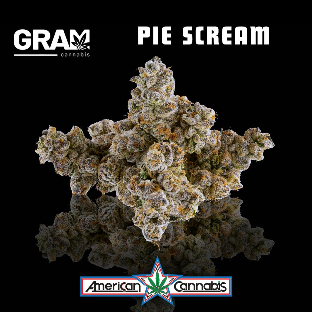[Flower] GRAM Pie Scream 4g [Indica]