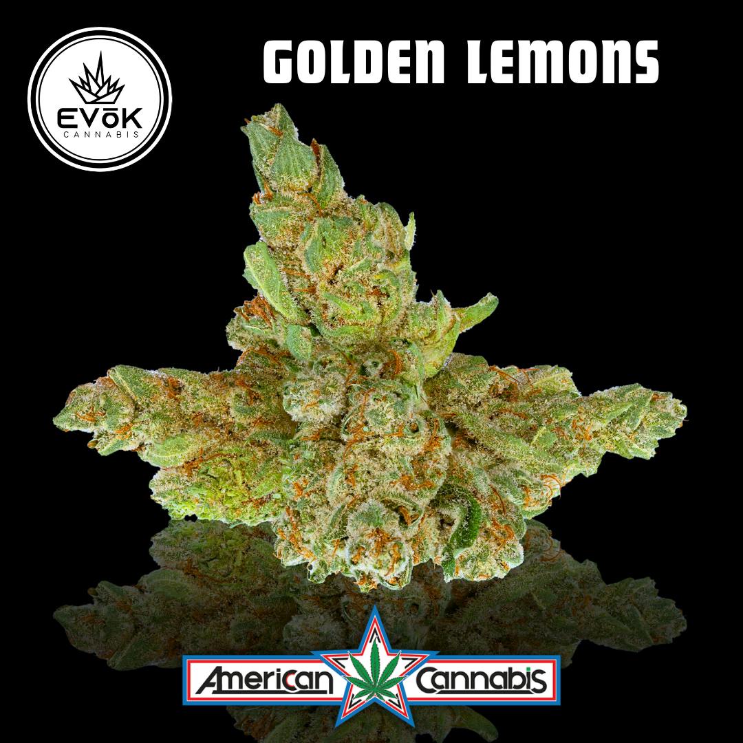 [Flower] EVoK Golden Lemons 3.5g [Hybrid]