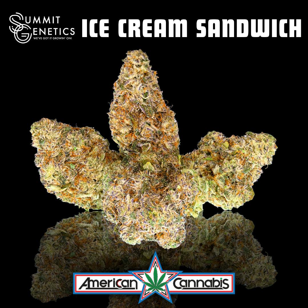 [Flower] Summit Genetics Ice Cream Sandwich 14g [Indica]