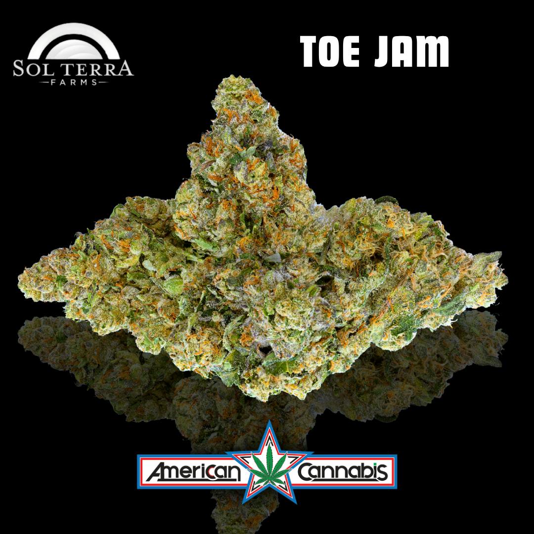 [Flower] Sol Terra Toe Jam 14g [Sativa]