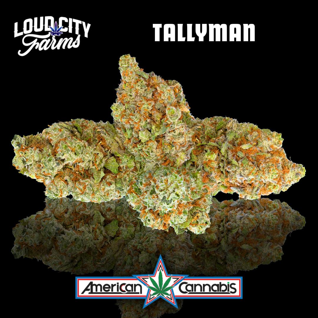 Loud City Extracts Tallyman