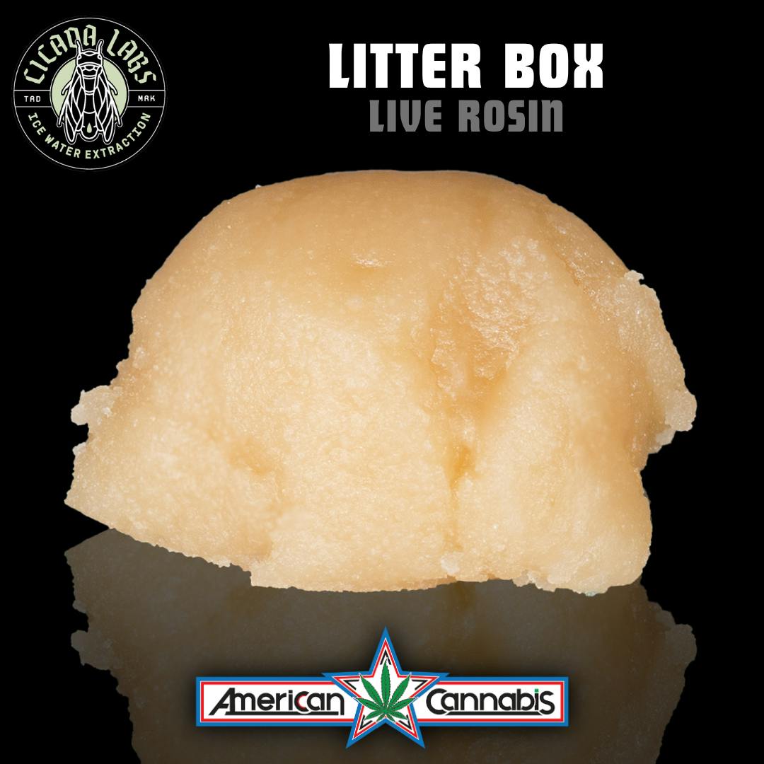 [Concentrate] Cicada Labs Litter Box Live Rosin 1g [Hybrid]