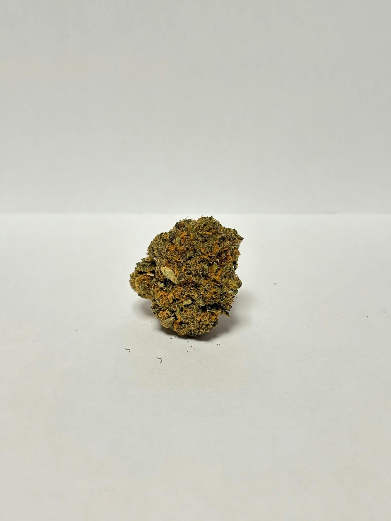 RS 11 *H* 28g